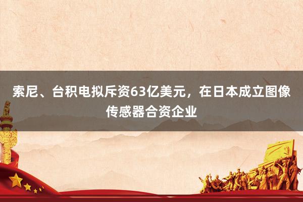 索尼、台积电拟斥资63亿美元，在日本成立图像传感器合资企业