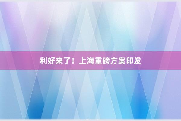 利好来了！上海重磅方案印发