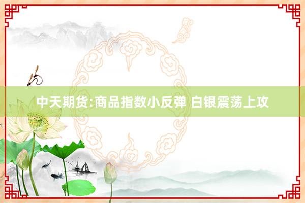 中天期货:商品指数小反弹 白银震荡上攻
