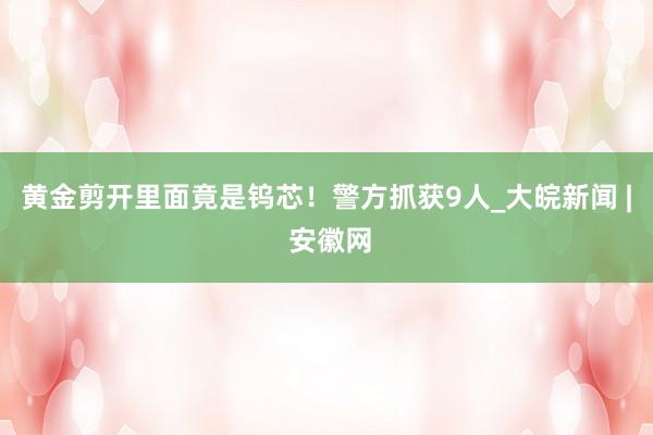 黄金剪开里面竟是钨芯！警方抓获9人_大皖新闻 | 安徽网