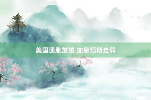 美国通胀放缓 加息预期走弱