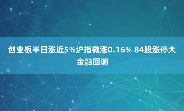创业板半日涨近5%沪指微涨0.16% 84股涨停大金融回调