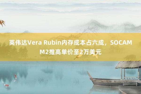 英伟达Vera Rubin内存成本占六成，SOCAMM2推高单价至2万美元
