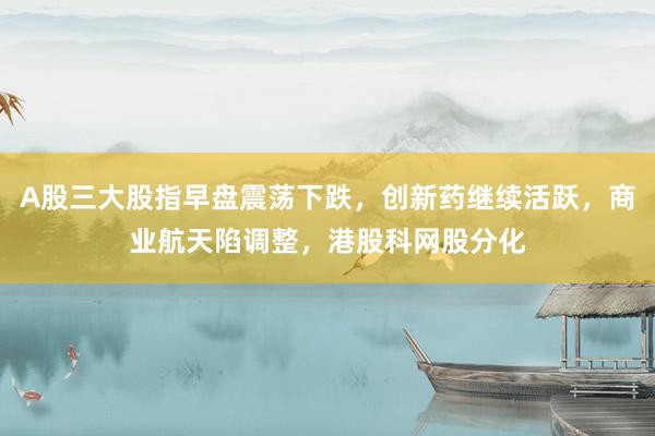A股三大股指早盘震荡下跌,创新药继续活跃,商业航天陷调整,港股科网股分化