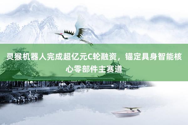 灵猴机器人完成超亿元C轮融资，锚定具身智能核心零部件主赛道