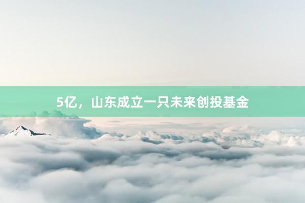5亿，山东成立一只未来创投基金