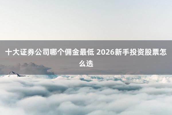 十大证券公司哪个佣金最低 2026新手投资股票怎么选