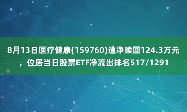 8月13日医疗健康(159760)遭净赎回124.3万元,位居当日股票ETF净流出排名517/1291