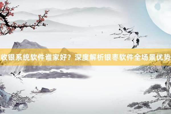 收银系统软件谁家好？深度解析银枣软件全场景优势