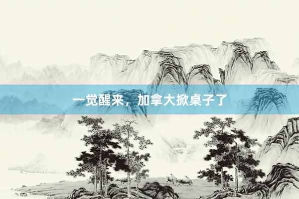 一觉醒来，加拿大掀桌子了