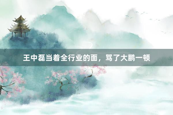 王中磊当着全行业的面，骂了大鹏一顿