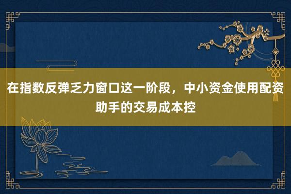 在指数反弹乏力窗口这一阶段，中小资金使用配资助手的交易成本控