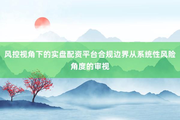 风控视角下的实盘配资平台合规边界从系统性风险角度的审视
