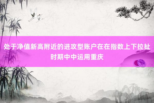处于净值新高附近的进攻型账户在在指数上下拉扯时期中中运用重庆
