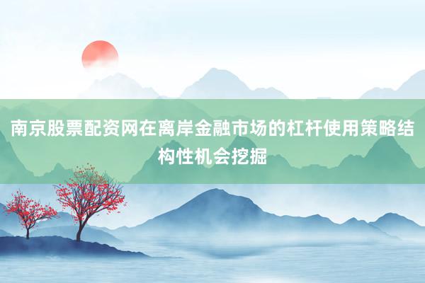 南京股票配资网在离岸金融市场的杠杆使用策略结构性机会挖掘