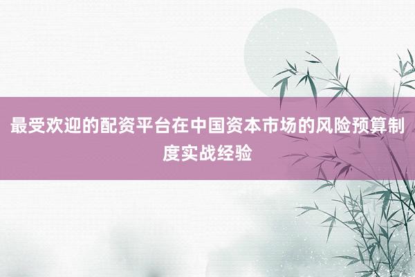 最受欢迎的配资平台在中国资本市场的风险预算制度实战经验