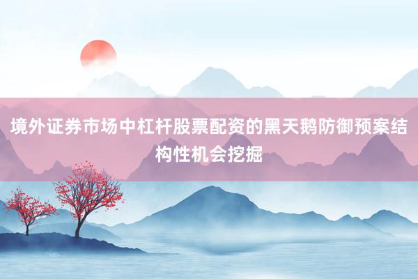 境外证券市场中杠杆股票配资的黑天鹅防御预案结构性机会挖掘