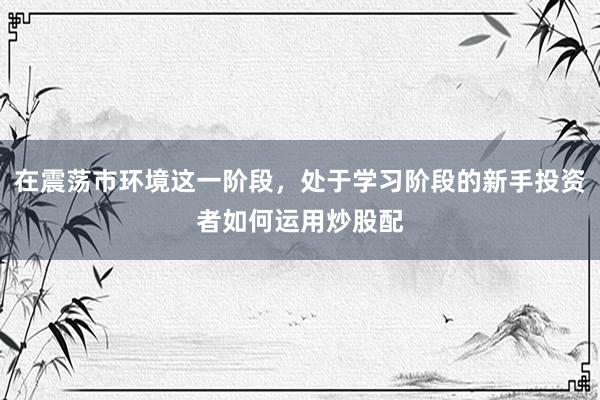 在震荡市环境这一阶段，处于学习阶段的新手投资者如何运用炒股配