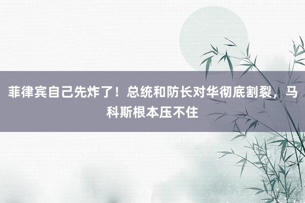 菲律宾自己先炸了！总统和防长对华彻底割裂，马科斯根本压不住