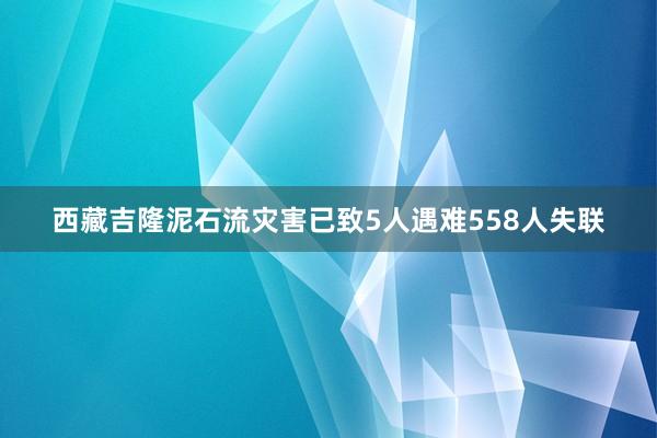 西藏吉隆泥石流灾害已致5人遇难558人失联