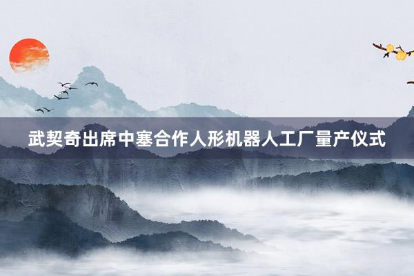 武契奇出席中塞合作人形机器人工厂量产仪式