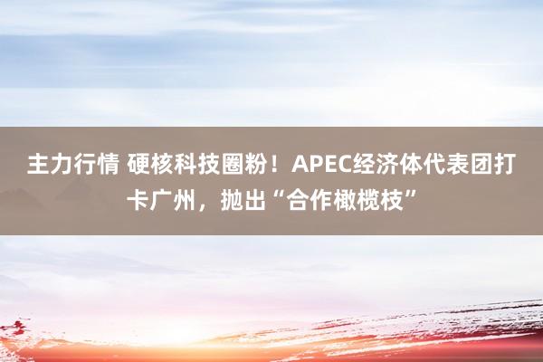 主力行情 硬核科技圈粉！APEC经济体代表团打卡广州，抛出“合作橄榄枝”