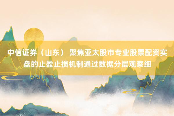 中信证券（山东） 聚焦亚太股市专业股票配资实盘的止盈止损机制通过数据分层观察细