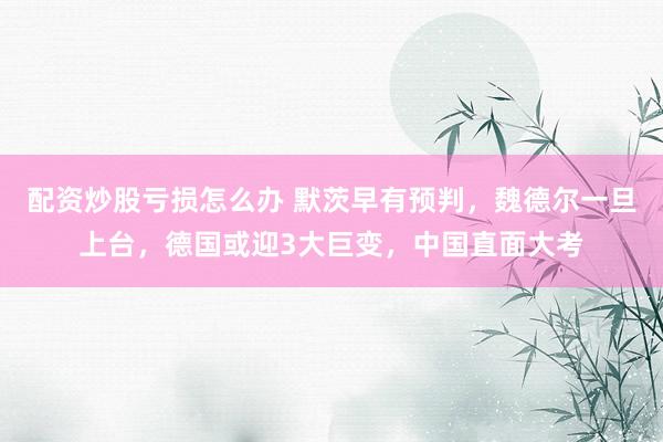 配资炒股亏损怎么办 默茨早有预判，魏德尔一旦上台，德国或迎3大巨变，中国直面大考